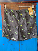 Load image into Gallery viewer, Quiksilver Kids Next Gen Volley
